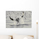 Water Spills Over The Fluke Of A Diving Killer Whale Wall Mural