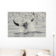 Water Spills Over The Fluke Of A Diving Killer Whale Wall Mural