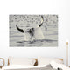 Water Spills Over The Fluke Of A Diving Killer Whale Wall Mural