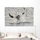 Water Spills Over The Fluke Of A Diving Killer Whale Wall Mural