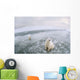Fish-Eye Lens View Of Polar Bears On Ice At Cape Churchill Wall Mural