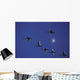 Tundra Swans In Flight During Migration Wall Mural