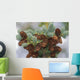 Cones Of The White Spruce Denali National Park Alaska Wall Mural
