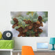 Cones Of The White Spruce Denali National Park Alaska Wall Mural