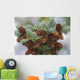 Cones Of The White Spruce Denali National Park Alaska Wall Mural