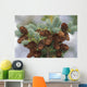 Cones Of The White Spruce Denali National Park Alaska Wall Mural