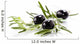 Olive Branch Wall Decal