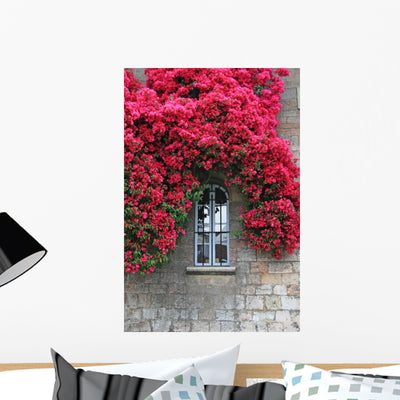 Flowers Old Wall Window shown on a wall