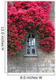 Flowers Old Wall Window