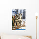 Two Siberian Husky Puppies Sitting In Dog Sled In Snow Alaska Wall Mural