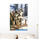 Two Siberian Husky Puppies Sitting In Dog Sled In Snow Alaska Wall Mural