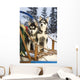 Two Siberian Husky Puppies Sitting In Dog Sled In Snow Alaska Wall Mural