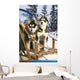 Two Siberian Husky Puppies Sitting In Dog Sled In Snow Alaska Wall Mural
