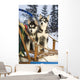 Two Siberian Husky Puppies Sitting In Dog Sled In Snow Alaska Wall Mural