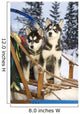 Two Siberian Husky Puppies Sitting In Dog Sled In Snow Alaska Wall Mural
