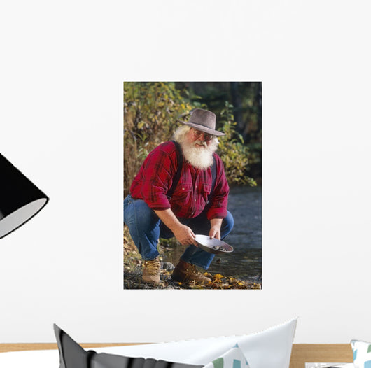 Man Panning For Gold Anchorage Southcentral Ak Wall Mural