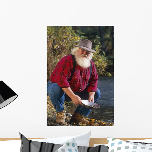 Man Panning For Gold Anchorage Southcentral Ak Wall Mural