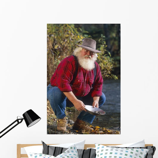 Man Panning For Gold Anchorage Southcentral Ak Wall Mural