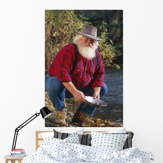 Man Panning For Gold Anchorage Southcentral Ak Wall Mural