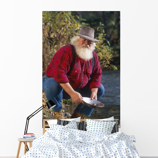 Man Panning For Gold Anchorage Southcentral Ak Wall Mural