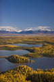 Aerial View Of The Lakes And Birch Forests At Point Mackenzie Wall Mural