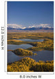 Aerial View Of The Lakes And Birch Forests At Point Mackenzie Wall Mural
