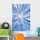 Tree Top Abstract Of A Snow Covered Birch Forest Wall Mural