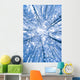 Tree Top Abstract Of A Snow Covered Birch Forest Wall Mural