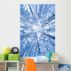 Tree Top Abstract Of A Snow Covered Birch Forest Wall Mural