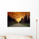 Road Going Into Sunset Rural Anchorage Sc Ak Summer Wall Mural