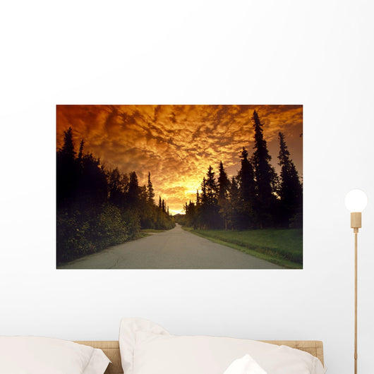 Road Going Into Sunset Rural Anchorage Sc Ak Summer Wall Mural