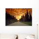 Road Going Into Sunset Rural Anchorage Sc Ak Summer Wall Mural