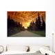 Road Going Into Sunset Rural Anchorage Sc Ak Summer Wall Mural