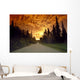 Road Going Into Sunset Rural Anchorage Sc Ak Summer Wall Mural