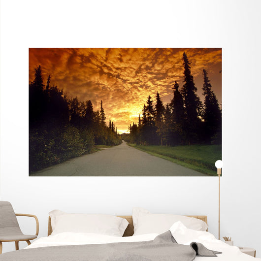 Road Going Into Sunset Rural Anchorage Sc Ak Summer Wall Mural