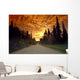 Road Going Into Sunset Rural Anchorage Sc Ak Summer Wall Mural