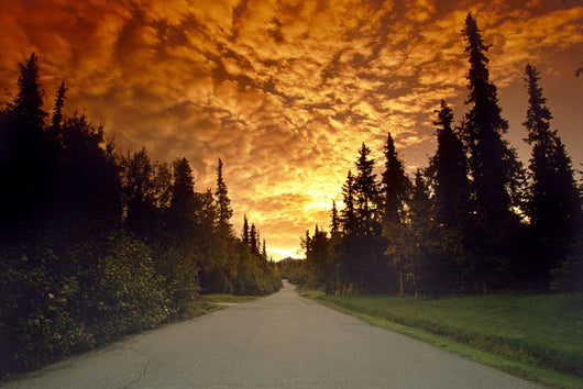 Road Going Into Sunset Rural Anchorage Sc Ak Summer Wall Mural