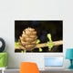 Macro Of Larch Needles And Cone During Spring, Anchorage, Alaska Wall Mural