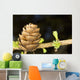 Macro Of Larch Needles And Cone During Spring, Anchorage, Alaska Wall Mural