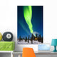 Aurora Over Cabin Wall Mural