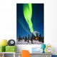 Aurora Over Cabin Wall Mural