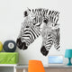 Two Zebras Wall Mural