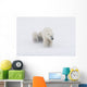 Mother Polar Bear & 2 Cubs In Snow Storm Churchill Canada Winter Wall Mural