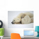 Mother Polar Bear & Cub Huddle In Snow Storm Churchill Canada Winter Wall Mural