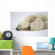 Mother Polar Bear & Cub Huddle In Snow Storm Churchill Canada Winter Wall Mural