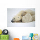 Mother Polar Bear & Cub Huddle In Snow Storm Churchill Canada Winter Wall Mural