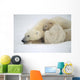 Mother Polar Bear & Cub Huddle In Snow Storm Churchill Canada Winter Wall Mural