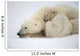 Mother Polar Bear & Cub Huddle In Snow Storm Churchill Canada Winter Wall Mural