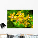 orchid Wall Mural