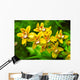 orchid Wall Mural